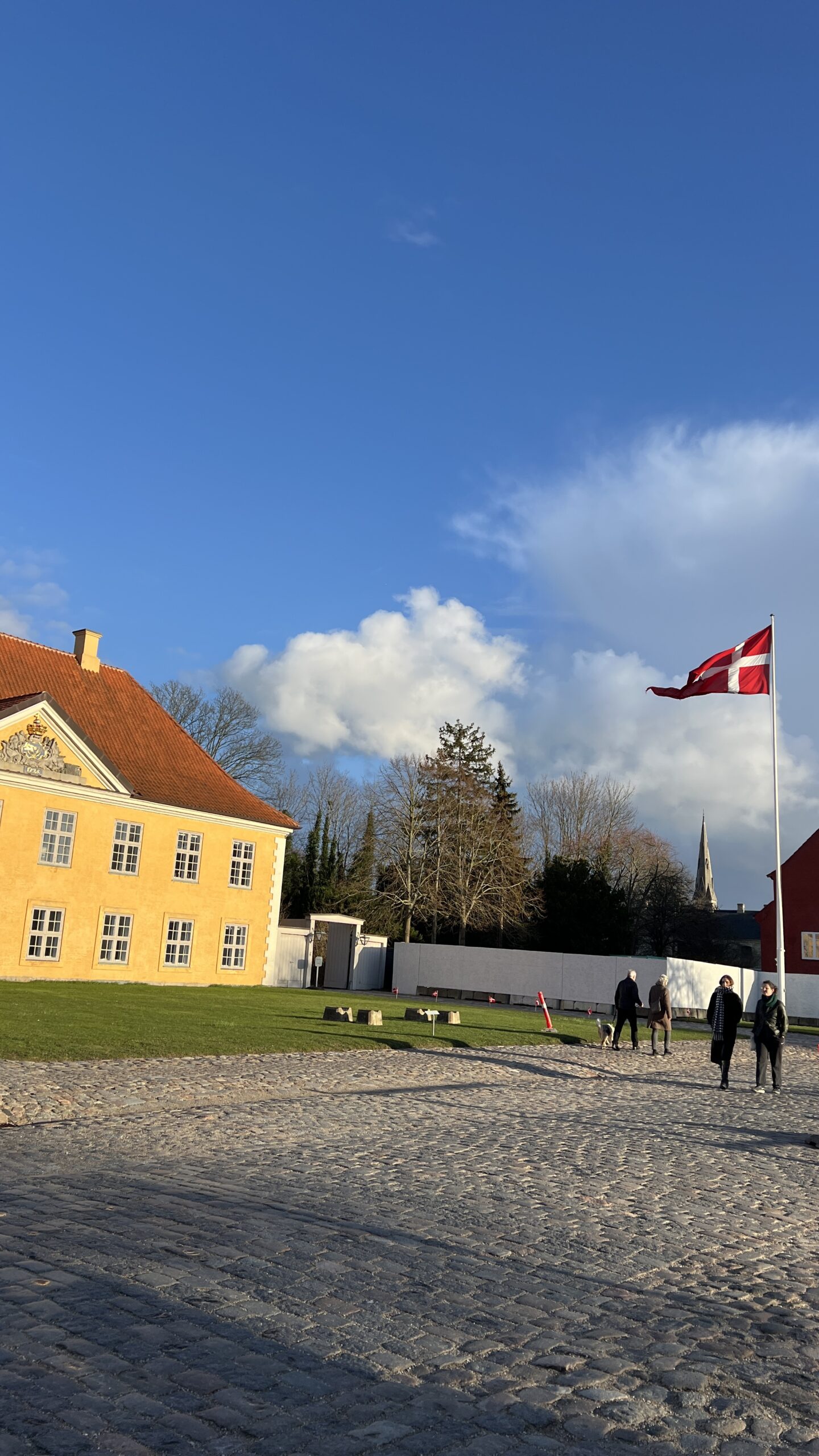 gallery grid image